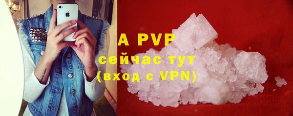дмт Алексин