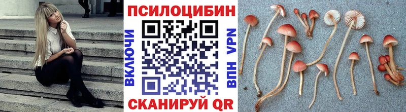 мориарти как зайти  Арзамас  Псилоцибиновые грибы GOLDEN TEACHER 